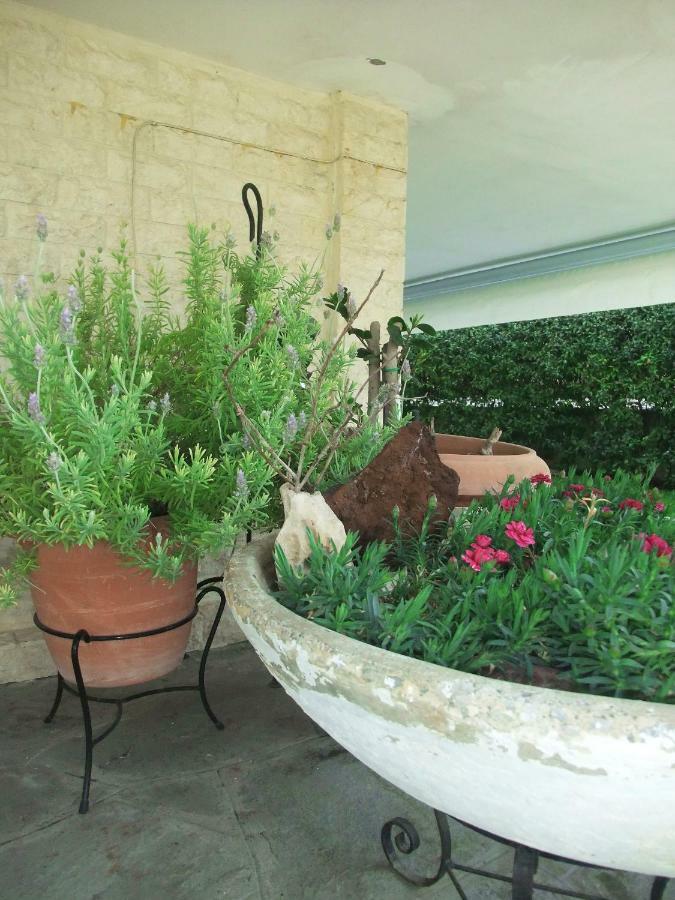 Apartamento A Majestic Elegant House With A Garden Peraía Exterior foto